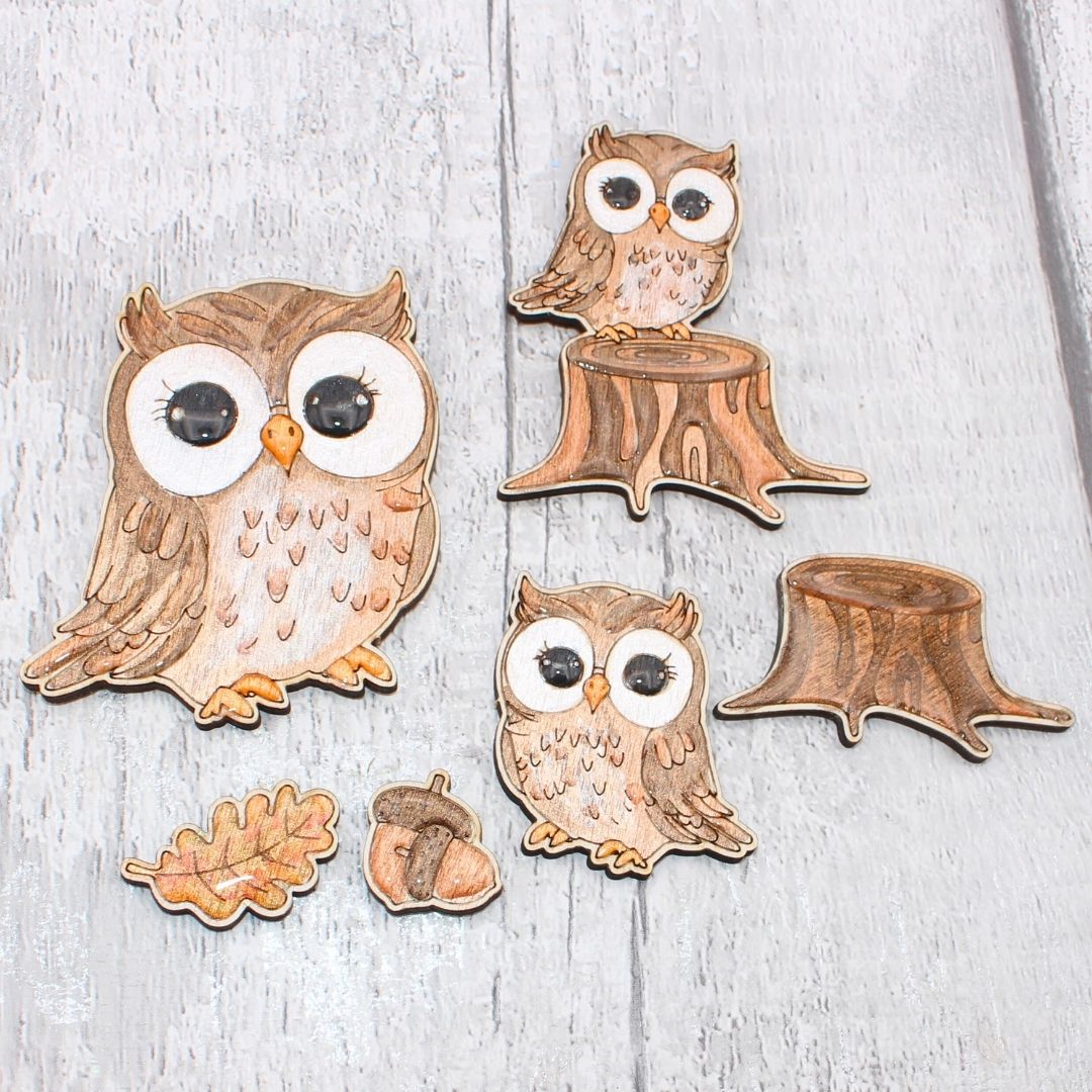 Little Owl Set - 16 Pieces